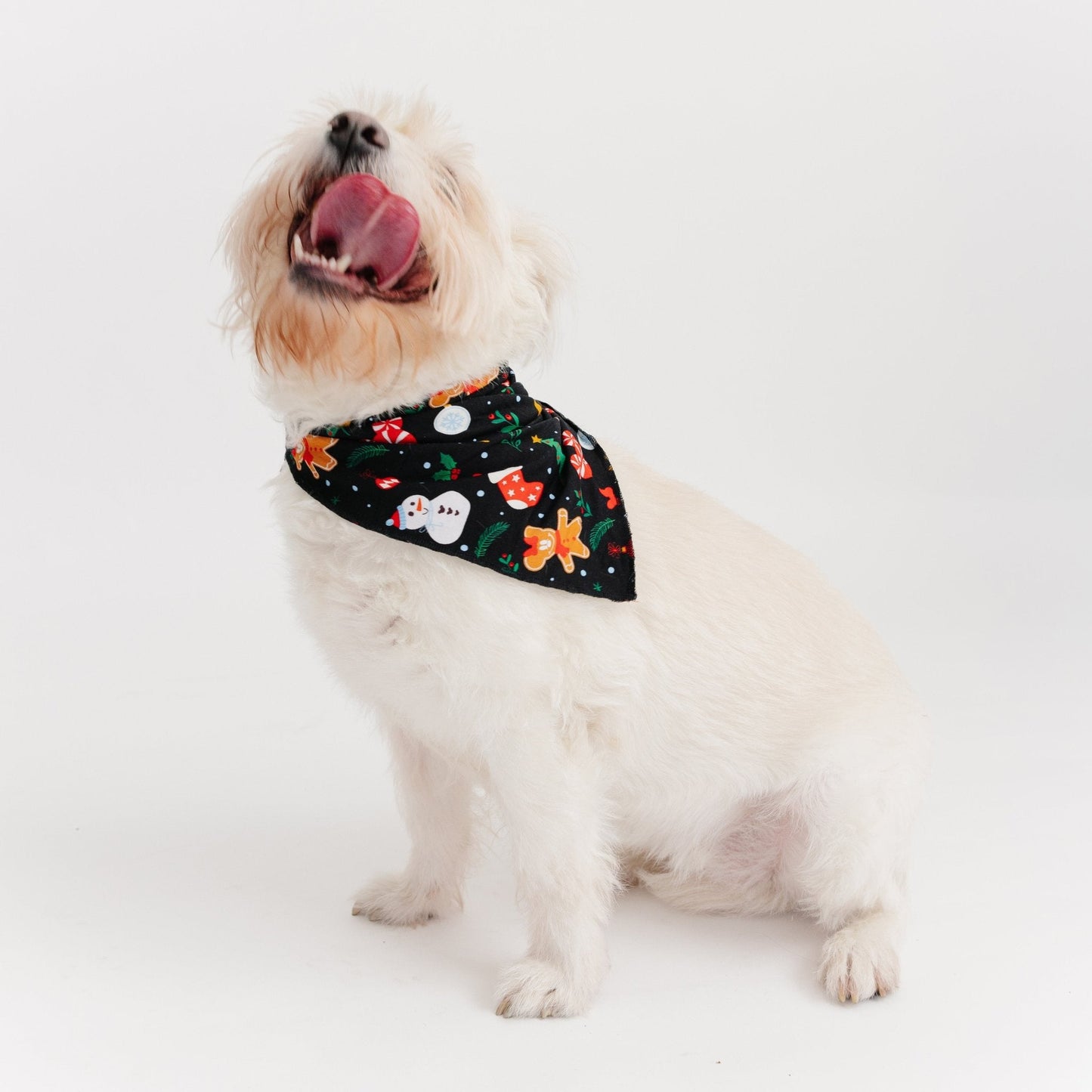Enchanted Holiday Pet Bandana - Bam & Stitch