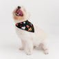 Enchanted Holiday Pet Bandana - Bam & Stitch