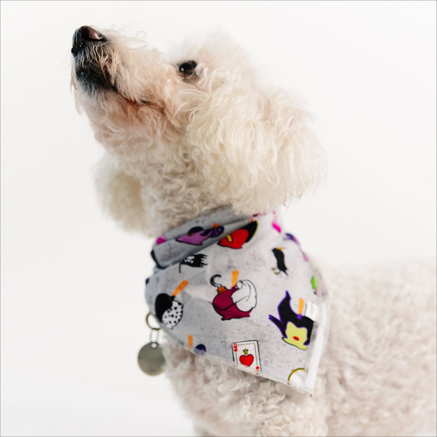 Wickedly Sweet Pet Bandana