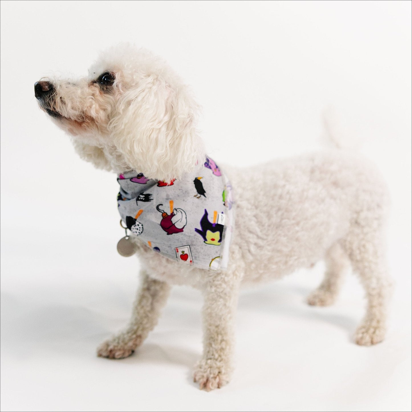 Wickedly Sweet Pet Bandana - Bam & Stitch
