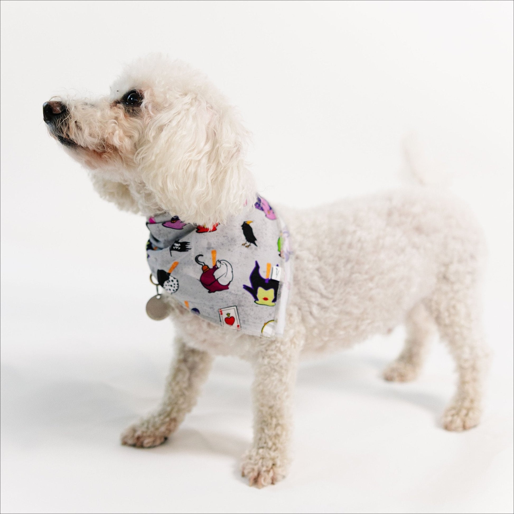 Wickedly Sweet Pet Bandana - Bam & Stitch