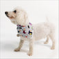 Wickedly Sweet Pet Bandana - Bam & Stitch