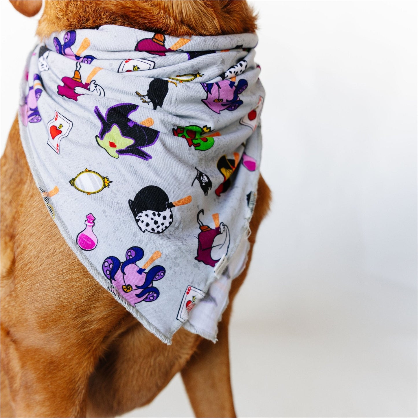 Wickedly Sweet Pet Bandana